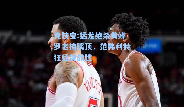 竞技宝:猛龙绝杀黄蜂罗老掠蹊顶，范弗利特狂猛袭战胜