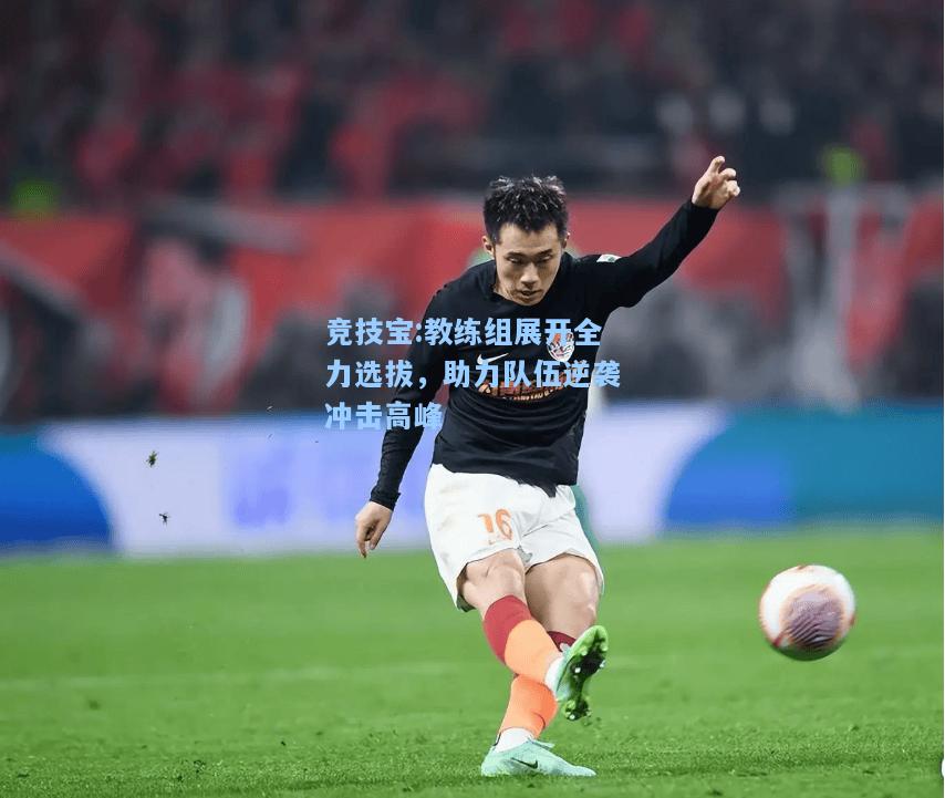 教练组展开全力选拔，助力队伍逆袭冲击高峰