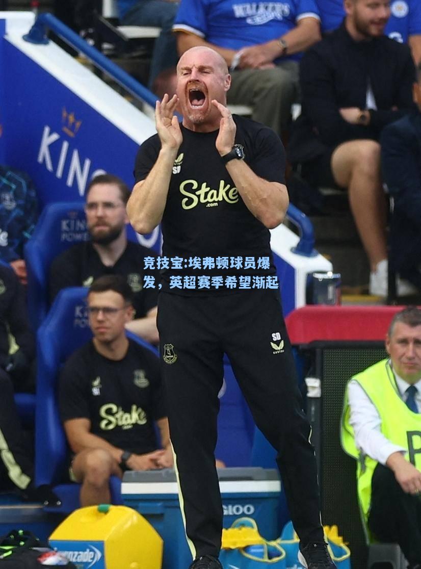 竞技宝:埃弗顿球员爆发，英超赛季希望渐起