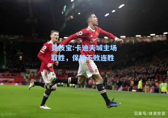 卡迪夫城主场取胜，保持不败连胜
