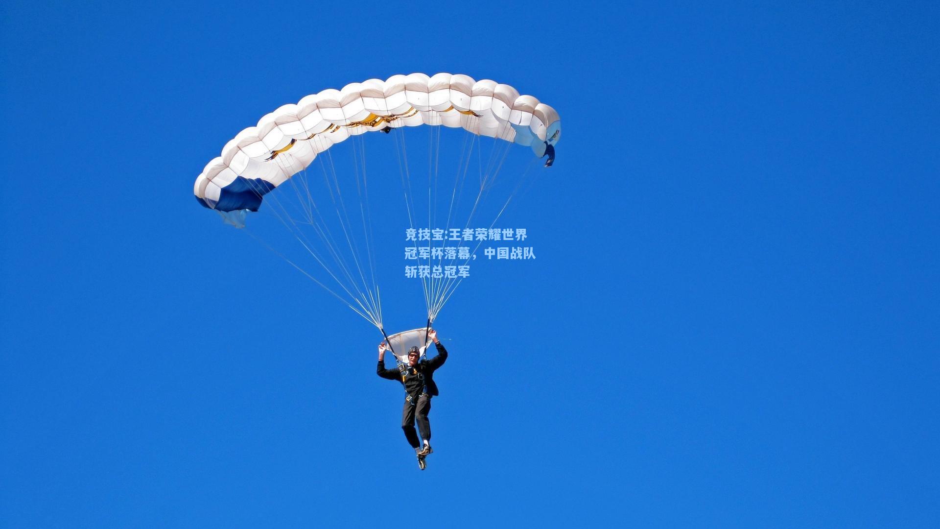 竞技宝:王者荣耀世界冠军杯落幕，中国战队斩获总冠军